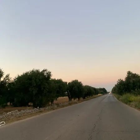 Panorama *